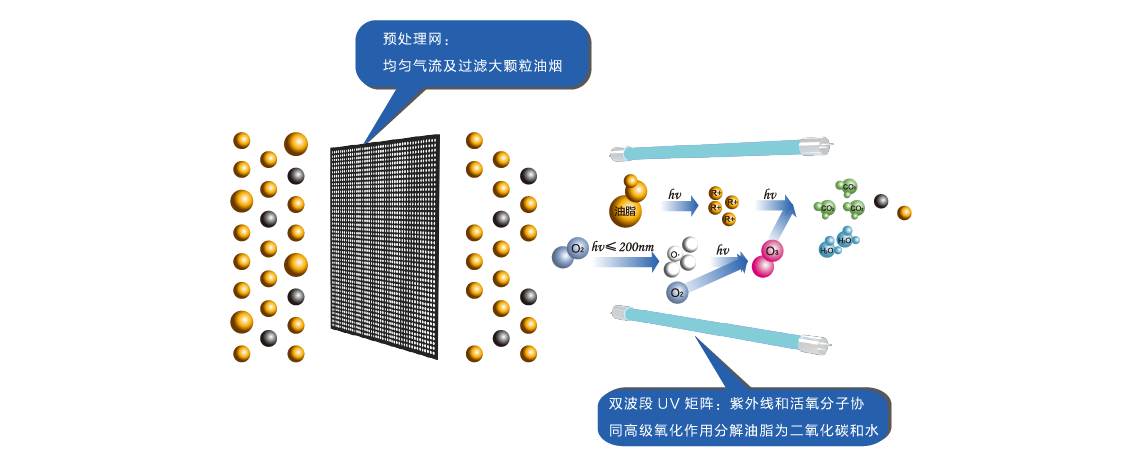 素有原理圖-05.png